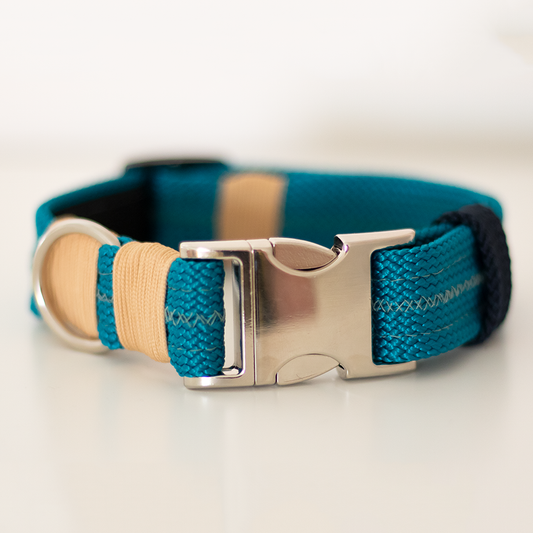 Hundehalsband "Aqua"